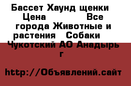 Бассет Хаунд щенки › Цена ­ 20 000 - Все города Животные и растения » Собаки   . Чукотский АО,Анадырь г.